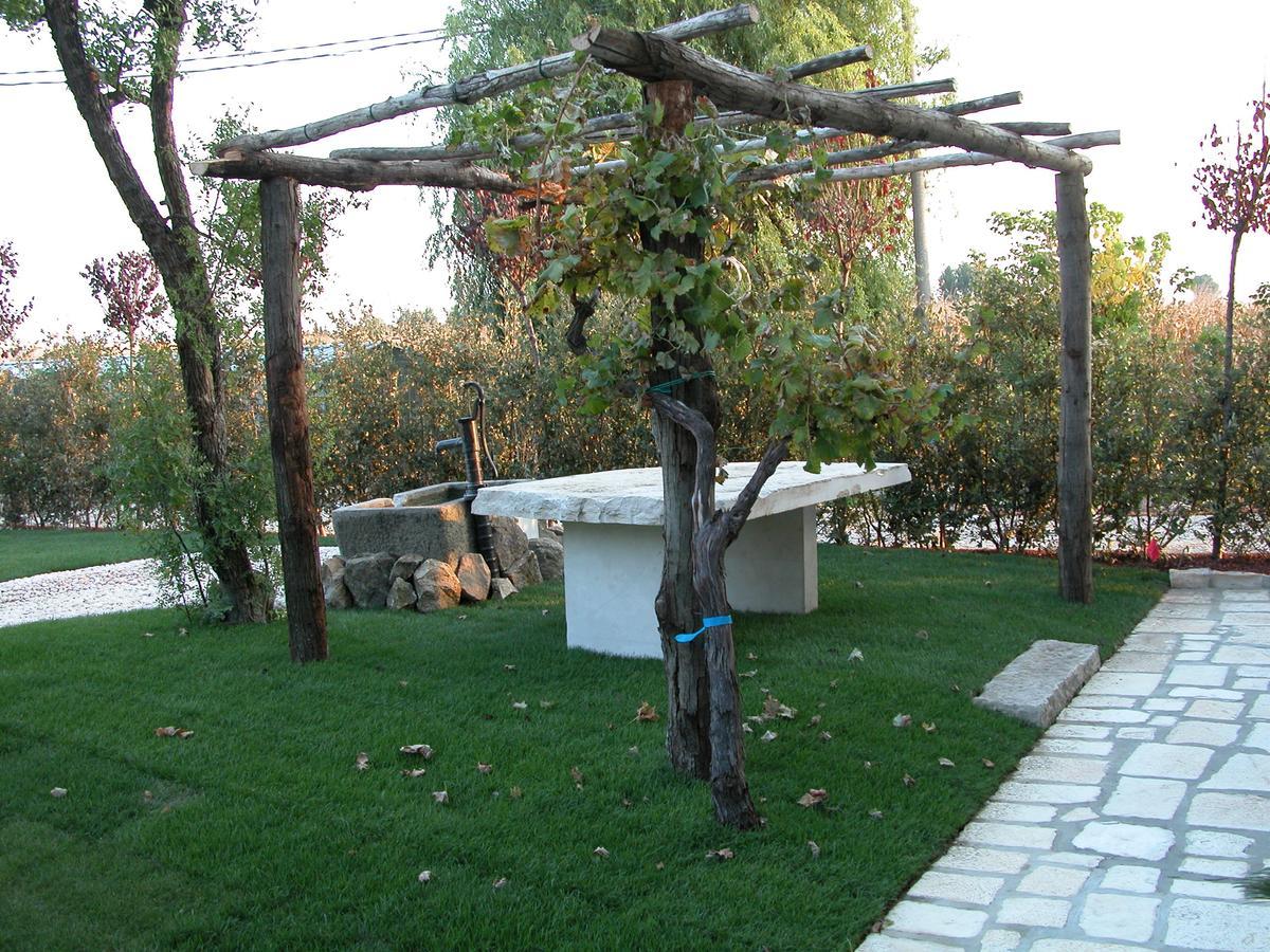 Da Nicola Hotell Montegrotto Terme Exteriör bild